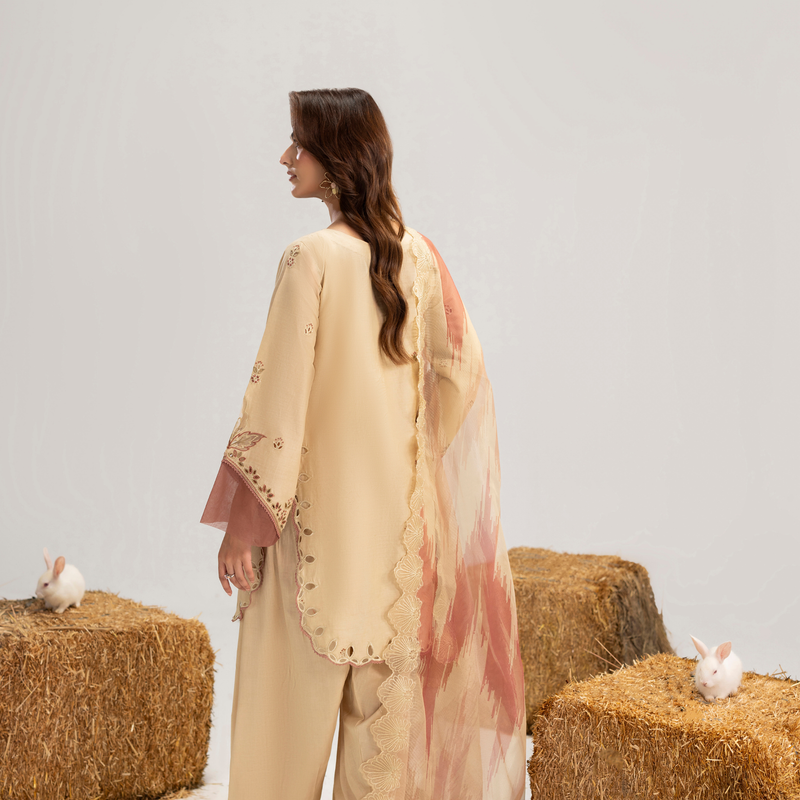 3- Piece Embroidered Lawn Suit