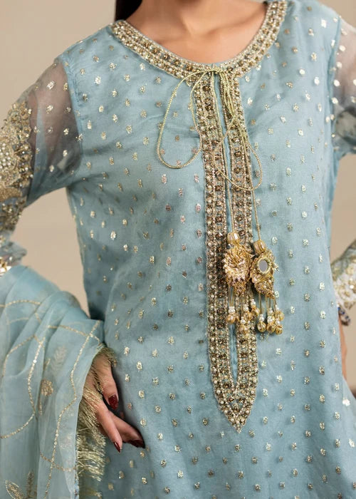 3- Piece Ice Blue Organza Gharara Set